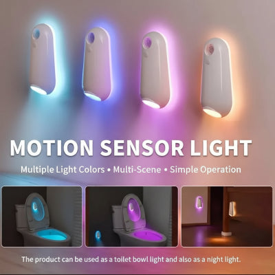 Motion sensor light