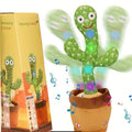 Cactus Interactive Toy